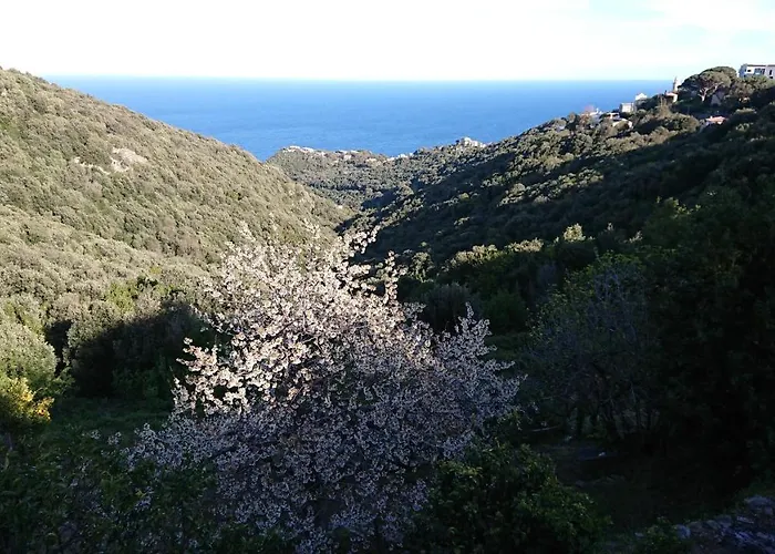 A Tana Di A Volpe