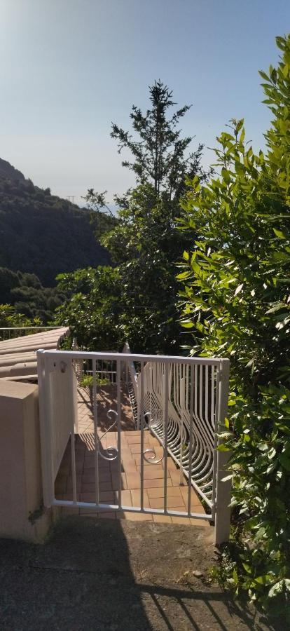 Apartment A Tana Di A Volpe Ville-di-Pietrabugno